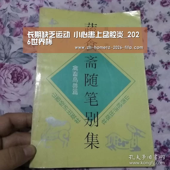 2026世界杯