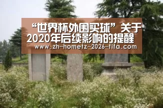 “世界杯外围买球”关于2020年后续影响的提醒(图2) 世界杯外围买球