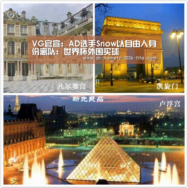 VG官宣:AD选手Snow以自由人身份离队:世界杯外围买球(图1) 世界杯外围买球
