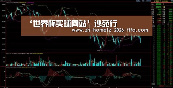 ‘世界杯买球网站’沙苑行(图4) 世界杯投注