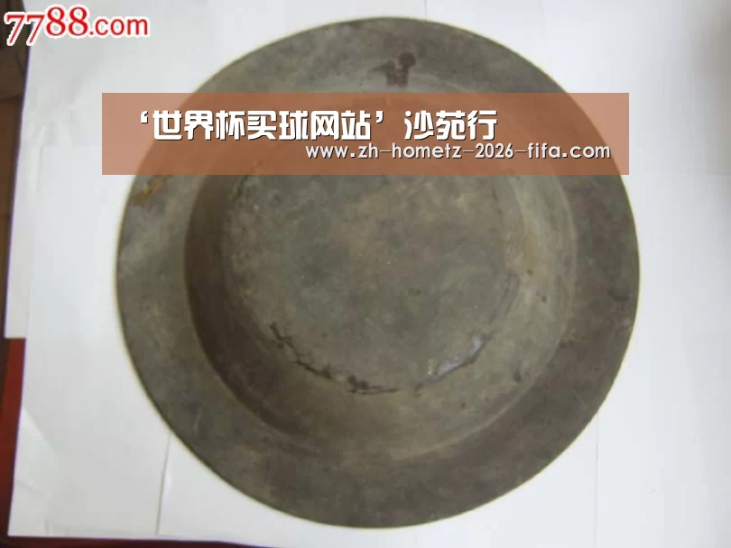 ‘世界杯买球网站’沙苑行(图2) 世界杯外围买球