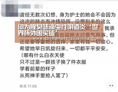 世界杯投注