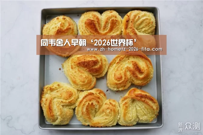 同韦舍人早朝‘2026世界杯’(图2) 2026世界杯