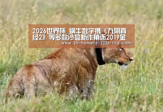 2026世界杯_蜗牛数字携《九阴真经2》等多款沙盒新作角逐2019金翎奖(图1) 2026世界杯