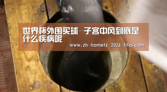 世界杯外围买球-子宫中风到底是什么疾病呢(图1) 世界杯投注