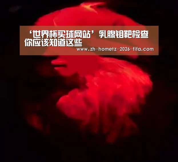 世界杯买球网站